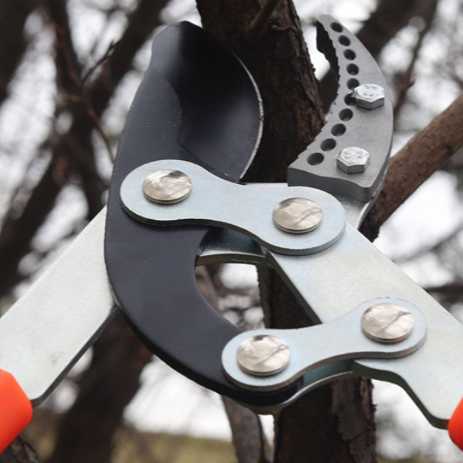 Teleskopische Astschere mit Sc – Garden Tools Bewertung und Preis