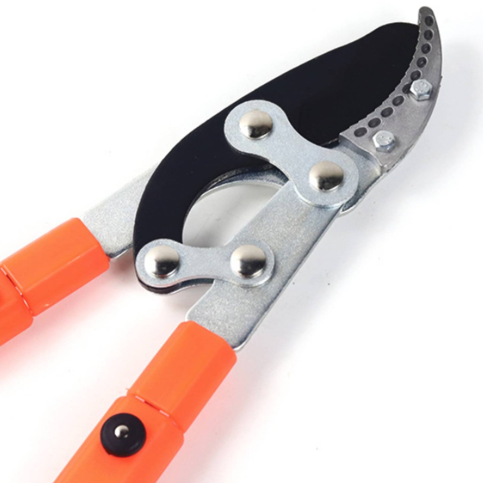 Teleskopische Astschere mit Sc – Garden Tools Bewertung und Preis