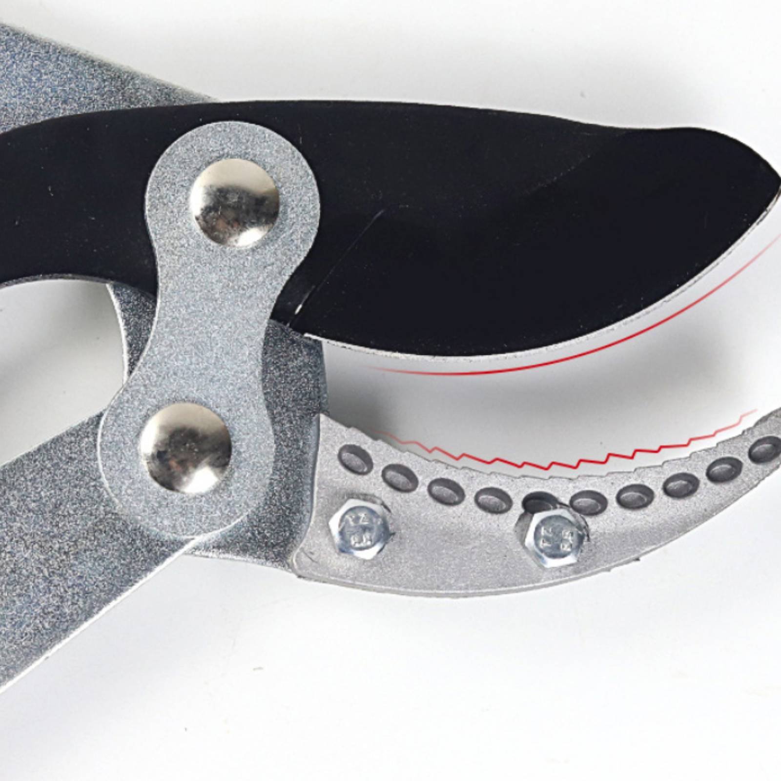 Teleskopische Astschere mit Sc – Garden Tools Bewertung und Preis